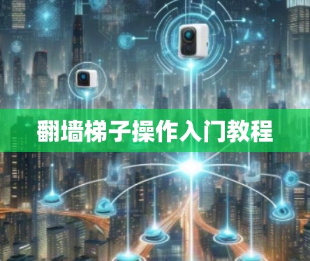 翻墙梯子操作入门教程 翻墙梯子操作入门教程