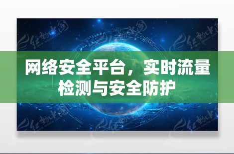 网络安全平台,实时流量检测与安全防护 网络安全平台,实时流量检测与安全防护