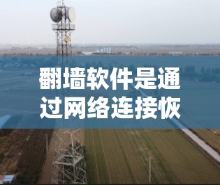 <strong>翻墙</strong>软件是通过网络连接恢复被切断的IP地址的工具，广泛应用于计算机、手机和平板电脑等设备。以下是一步步的指南，帮助您了解和使用<strong>翻墙</strong>软件