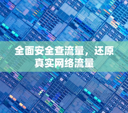 全面安全查流量,还原真实网络流量 全面安全查流量,还原真实网络流量