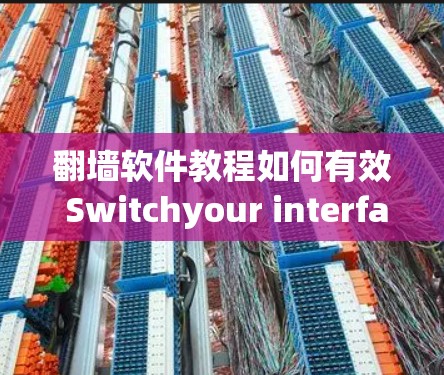 翻墙软件教程如何有效 Switchyour interface