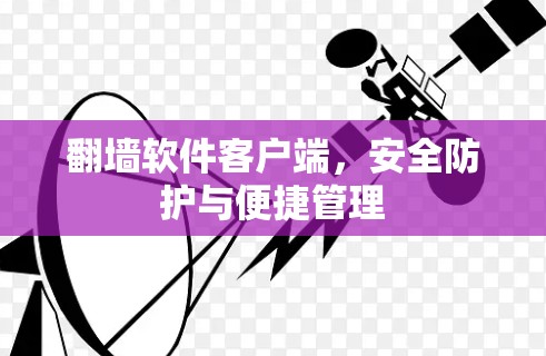 <strong>翻墙</strong>软件客户端，安全防护与便捷管理