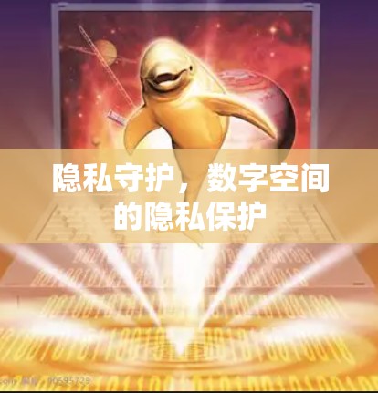 隐私守护，数字空间的隐私保护