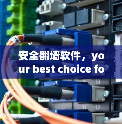 安全翻墙软件,your best choice for privacy and freedom 安全翻墙软件,your best choice for privacy and freedom