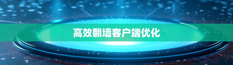 高效翻墙客户端优化