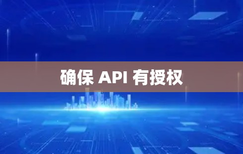 确保 API 有授权