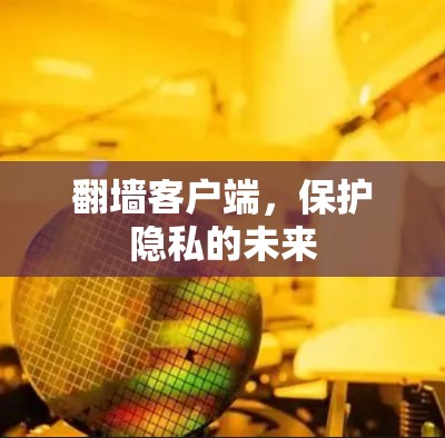 <strong>翻墙</strong>客户端，保护隐私的未来