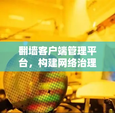 翻墙客户端管理平台，构建网络治理新体系