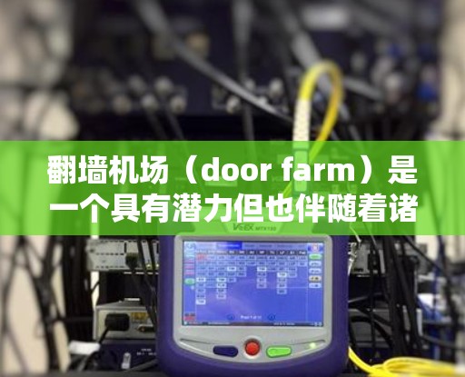 翻墙机场(door farm)是一个具有潜力但也伴随着诸多风险的投资项目。以下是对该项目的详细分析和建议 翻墙机场(door farm)是一个具有潜力但也伴随着诸多风险的投资项目。以下是对该项目的详细分析和建议