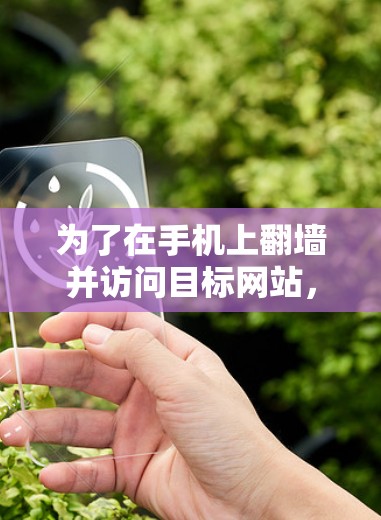 为了在手机上<strong>翻墙</strong>并访问目标网站，您可以按照以下步骤操作