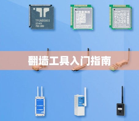 <strong>翻墙</strong>工具入门指南
