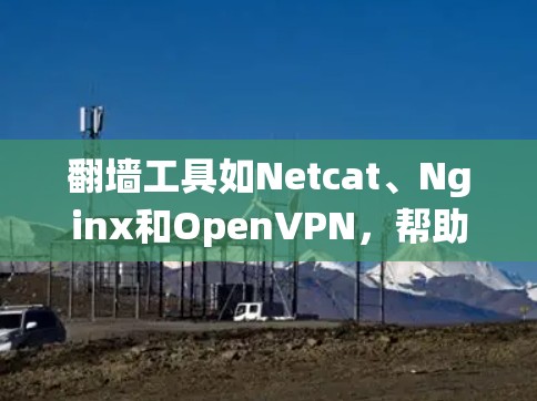 翻墙工具如Netcat、Nginx和OpenVPN,帮助用户绕过网络防火墙,访问外部服务器或共享空间。以下是对翻墙工具的详细指南 翻墙工具如Netcat、Nginx和OpenVPN,帮助用户绕过网络防火墙,访问外部服务器或共享空间。以下是对翻墙工具的详细指南
