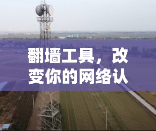 翻墙工具,改变你的网络认知? 翻墙工具,改变你的网络认知?