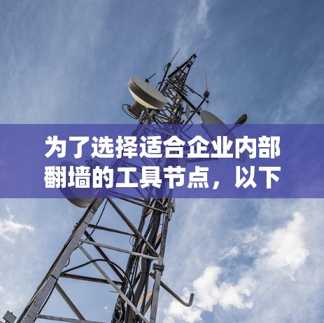 为了选择适合企业内部<strong>翻墙</strong>的工具节点，以下是一个系统的攻略