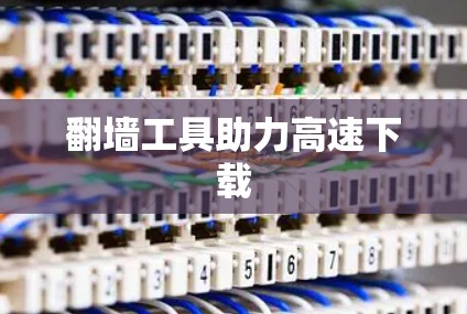翻墙工具助力高速下载 翻墙工具助力高速下载