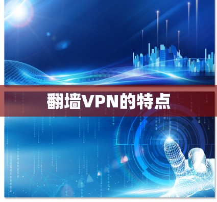 <strong>翻墙</strong>VPN的特点