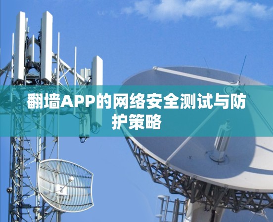 翻墙APP的网络安全测试与防护策略 翻墙APP的网络安全测试与防护策略