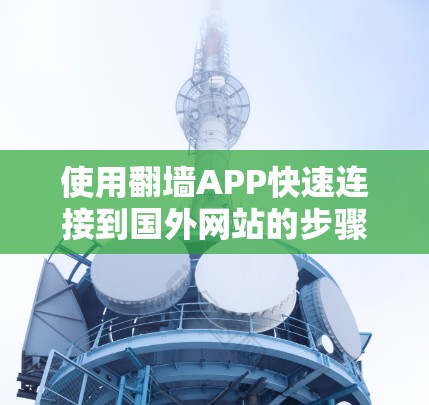 使用翻墙APP快速连接到国外网站的步骤如下 使用翻墙APP快速连接到国外网站的步骤如下