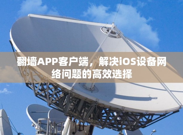 翻墙APP客户端,解决iOS设备网络问题的高效选择 翻墙APP客户端,解决iOS设备网络问题的高效选择