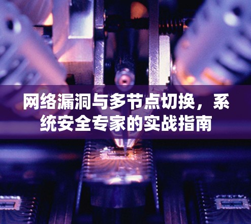 网络漏洞与多节点切换,系统安全专家的实战指南 网络漏洞与多节点切换,系统安全专家的实战指南