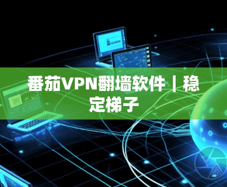 番茄VPN翻墙软件|稳定梯子 番茄VPN翻墙软件|稳定梯子