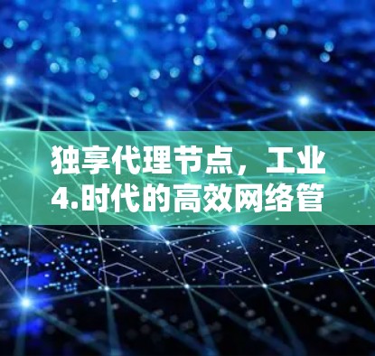 独享代理节点，工业4.时代的高效网络管理新解决方案