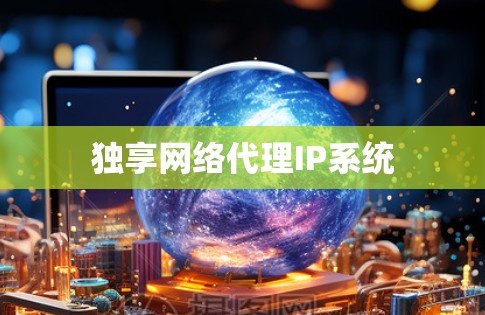 独享网络代理IP系统