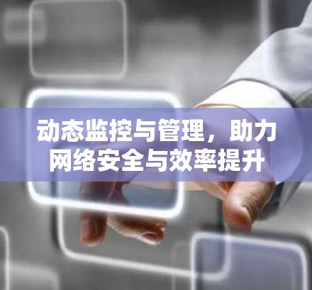 动态监控与管理，助力网络安全与效率提升