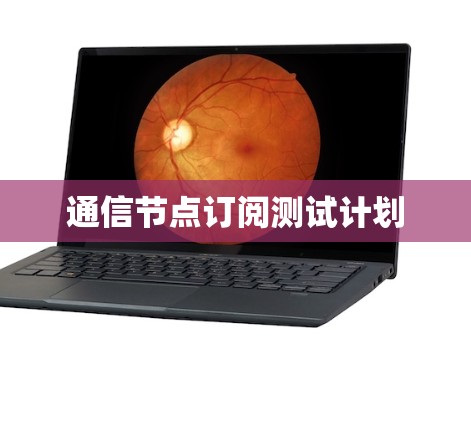 通信节点订阅测试计划