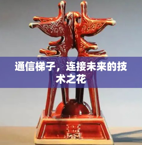 通信梯子，连接未来的技术之花