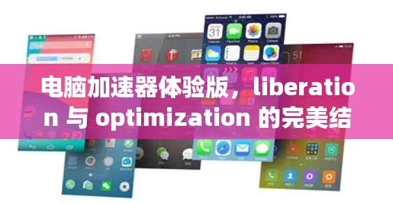 电脑加速器体验版，liberation 与 optimization 的完美结合