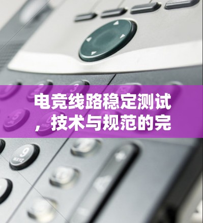 电竞线路稳定测试，技术与规范的完美结合