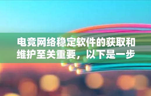 电竞网络稳定软件的获取和维护至关重要,以下是一步步的建议 电竞网络稳定软件的获取和维护至关重要,以下是一步步的建议