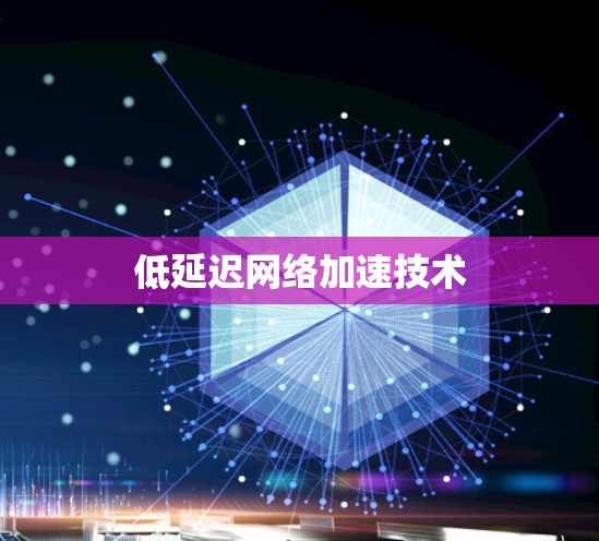 低延迟网络加速技术 低延迟网络加速技术