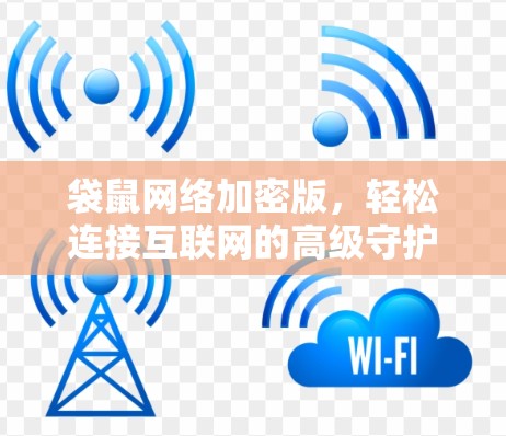 袋鼠网络加密版，轻松连接互联网的高级守护者