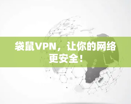 袋鼠VPN，让你的网络更安全！