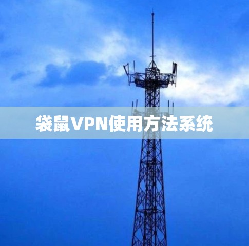 袋鼠VPN使用方法系统