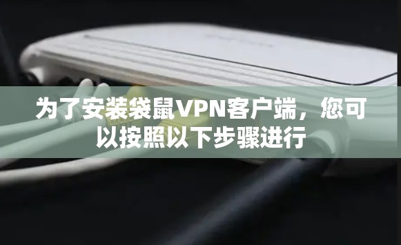 为了安装袋鼠VPN客户端,您可以按照以下步骤进行 为了安装袋鼠VPN客户端,您可以按照以下步骤进行