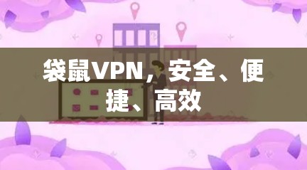 袋鼠VPN，安全、便捷、高效
