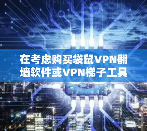 在考虑购买袋鼠VPN<strong>翻墙</strong>软件或VPN梯子工具时，以下是对两者的主要对比和建议