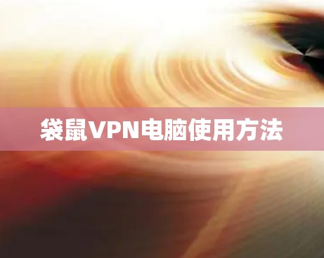 袋鼠VPN电脑使用方法
