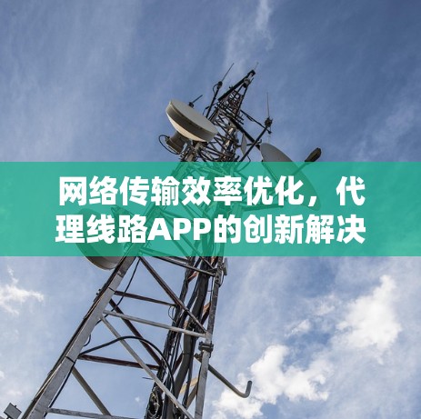网络传输效率优化，代理线路APP的创新解决方案