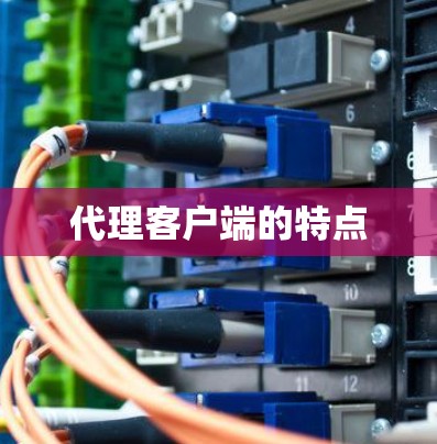 代理客户端的特点