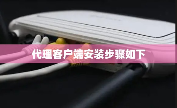 代理客户端安装步骤如下