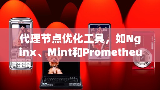 代理节点优化工具，如Nginx、Mint和Prometheus，是网络环境中监控和优化代理服务器的关键工具。以下是对这些工具的详细分析和使用建议