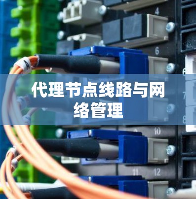 代理节点线路与网络管理