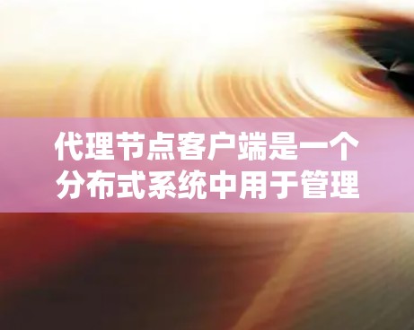 代理节点客户端是一个分布式系统中用于管理其他节点的客户端，支持各种网络地址空间映射功能和资源分配规则，确保代理节点能够正确地连接和控制网络资源。以下是对代理节点客户端的详细总结