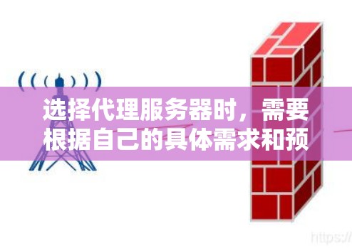 选择代理服务器时，需要根据自己的具体需求和预算进行权衡。以下是对代理服务器的综合分析，帮助你做出最佳选择