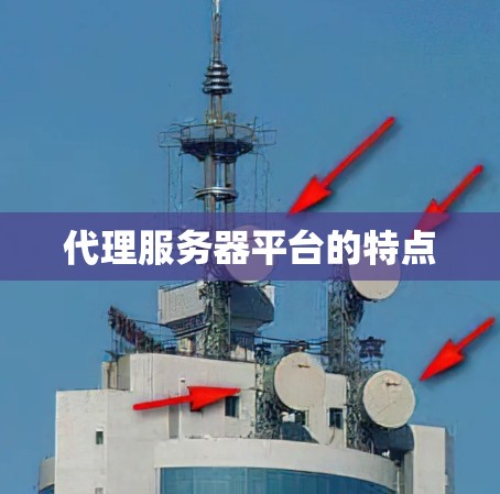 代理服务器平台的特点