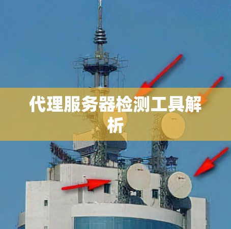 代理服务器检测工具解析